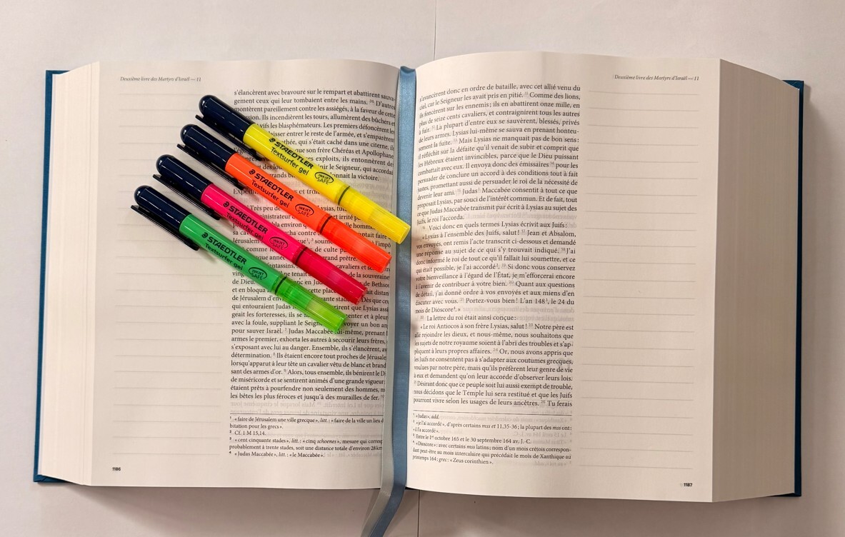Set de 4 Surligneurs Staedtler Textsurfer gel pour Bible