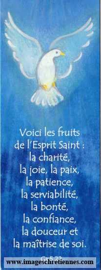 Lot de 25 - Signet Maïté Roche Colombe - Voici les fruits de l'Esprit Saint