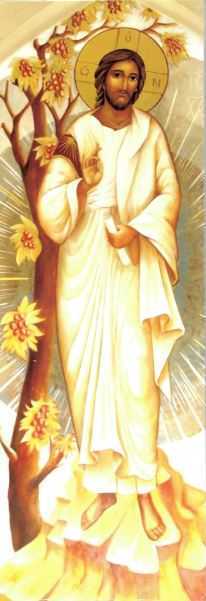 Lot de 25 signets - Transfiguration