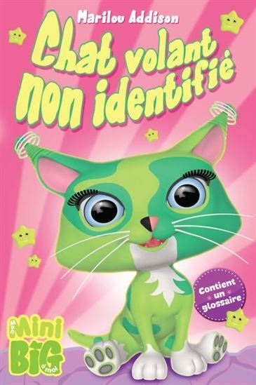 CHAT VOLANT NON IDENTIFIE