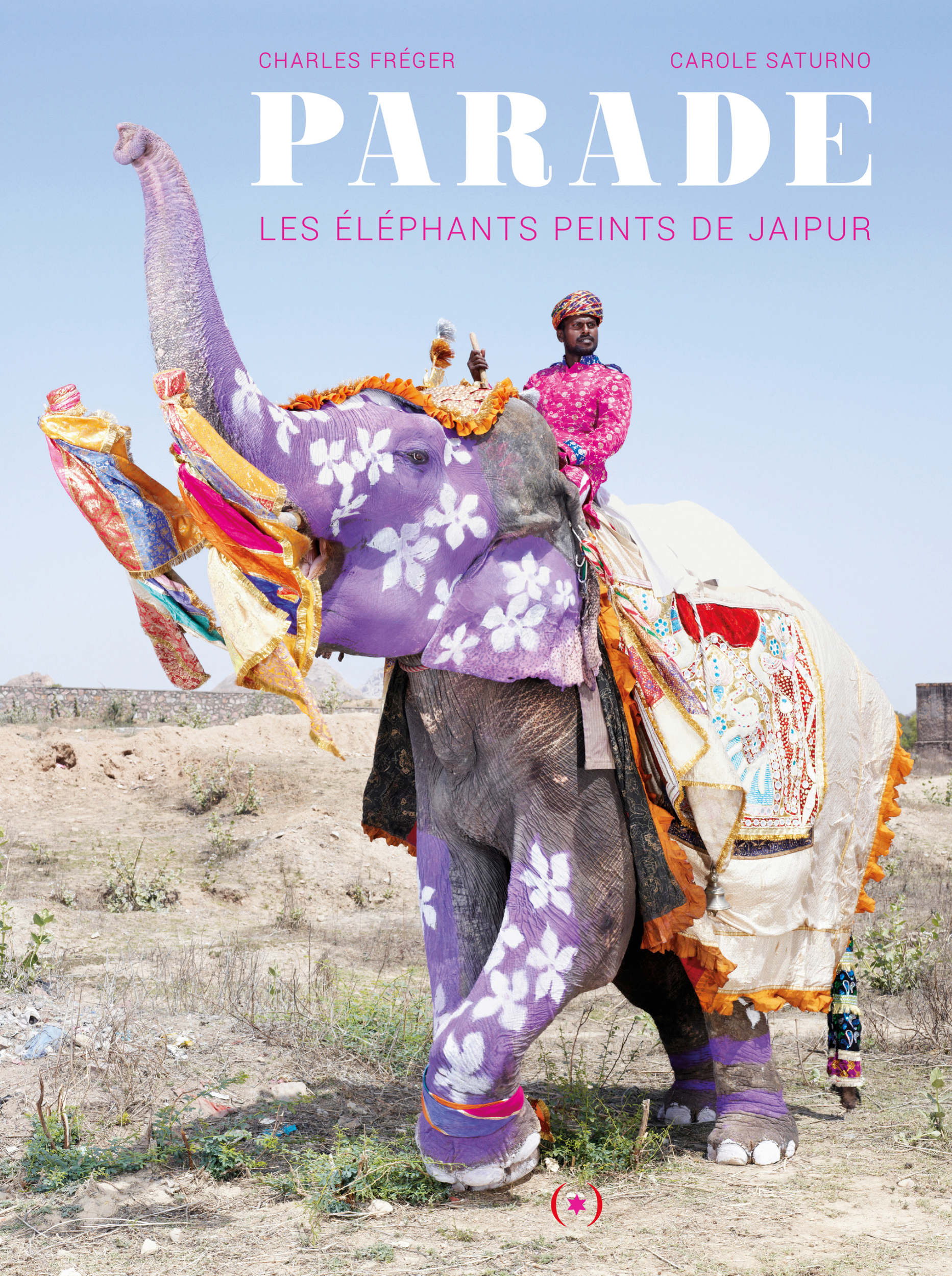 PARADE, LES ELEPHANTS PEINTS DE JAIPUR