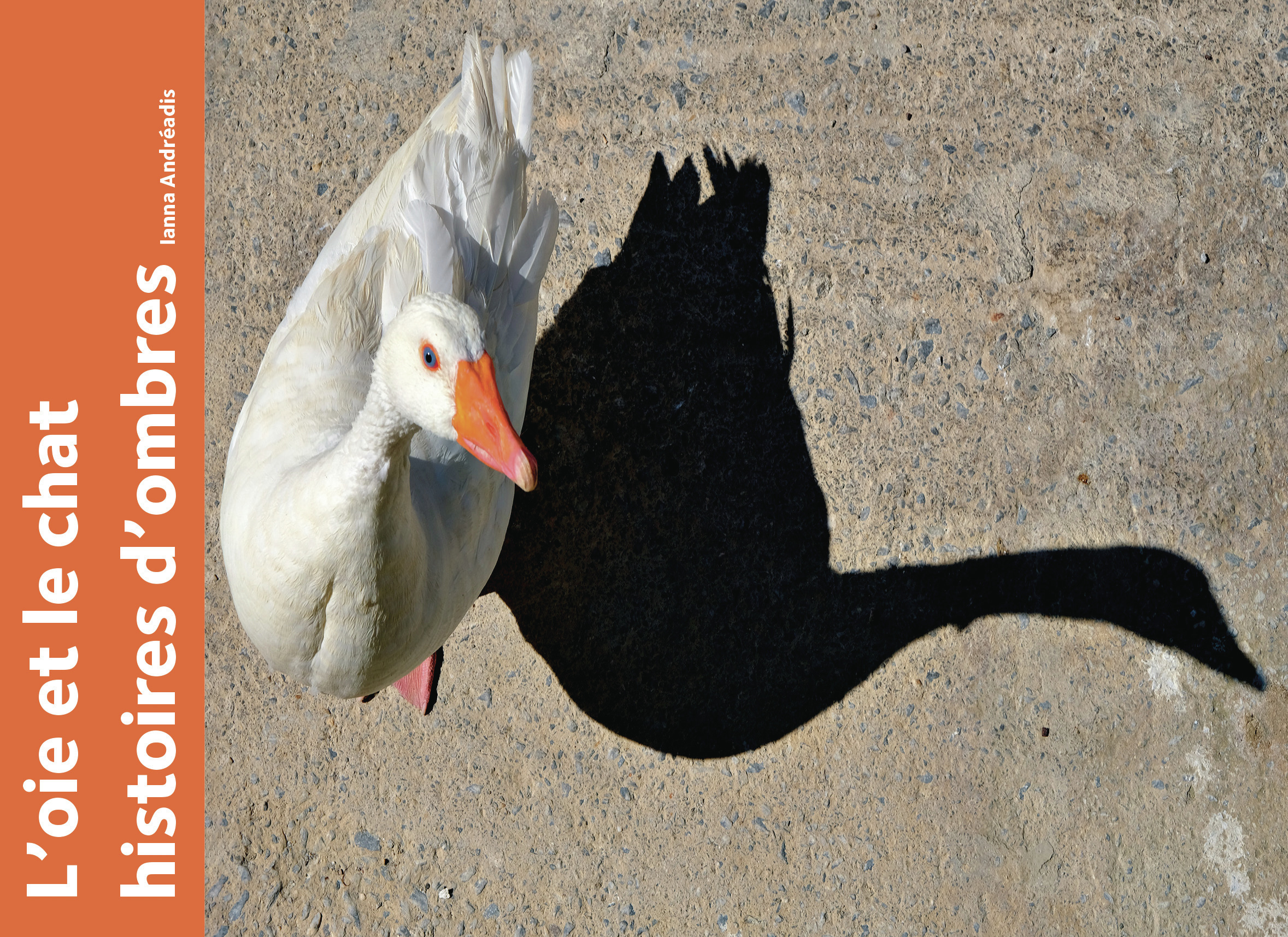 L'oie et le chat. Histoires d'ombres