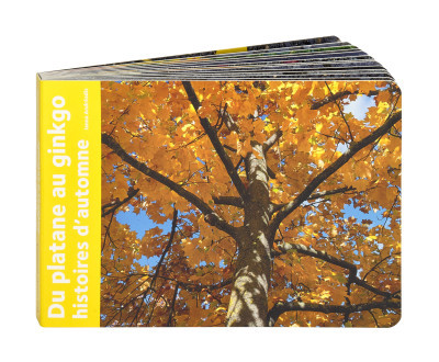 Du platane au ginkgo