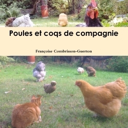 Poules et coqs de compagnie