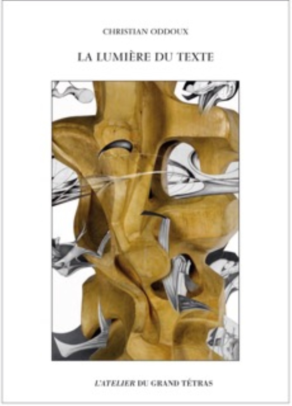 La lumière du texte