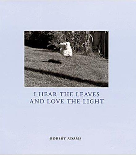 Robert Adams I Hear the Leaves and Love the Light /anglais