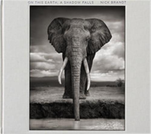 Nick Brandt On This Earth A Shadow Falls /anglais