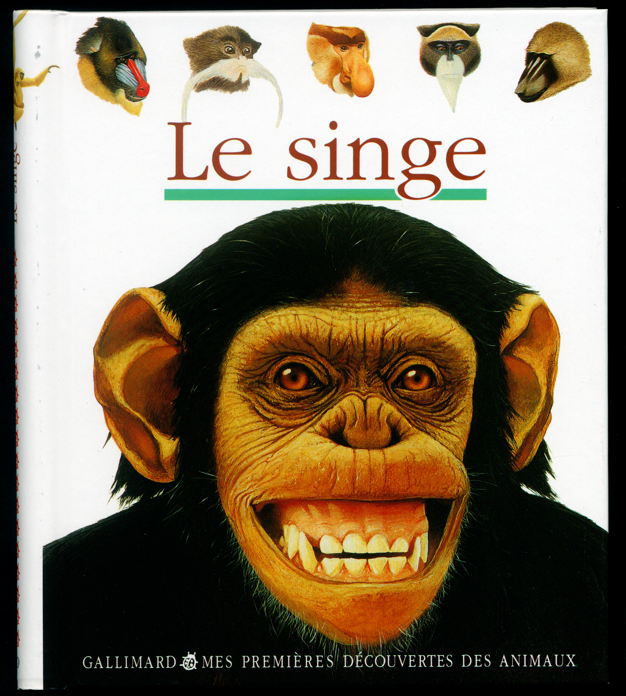 Le singe