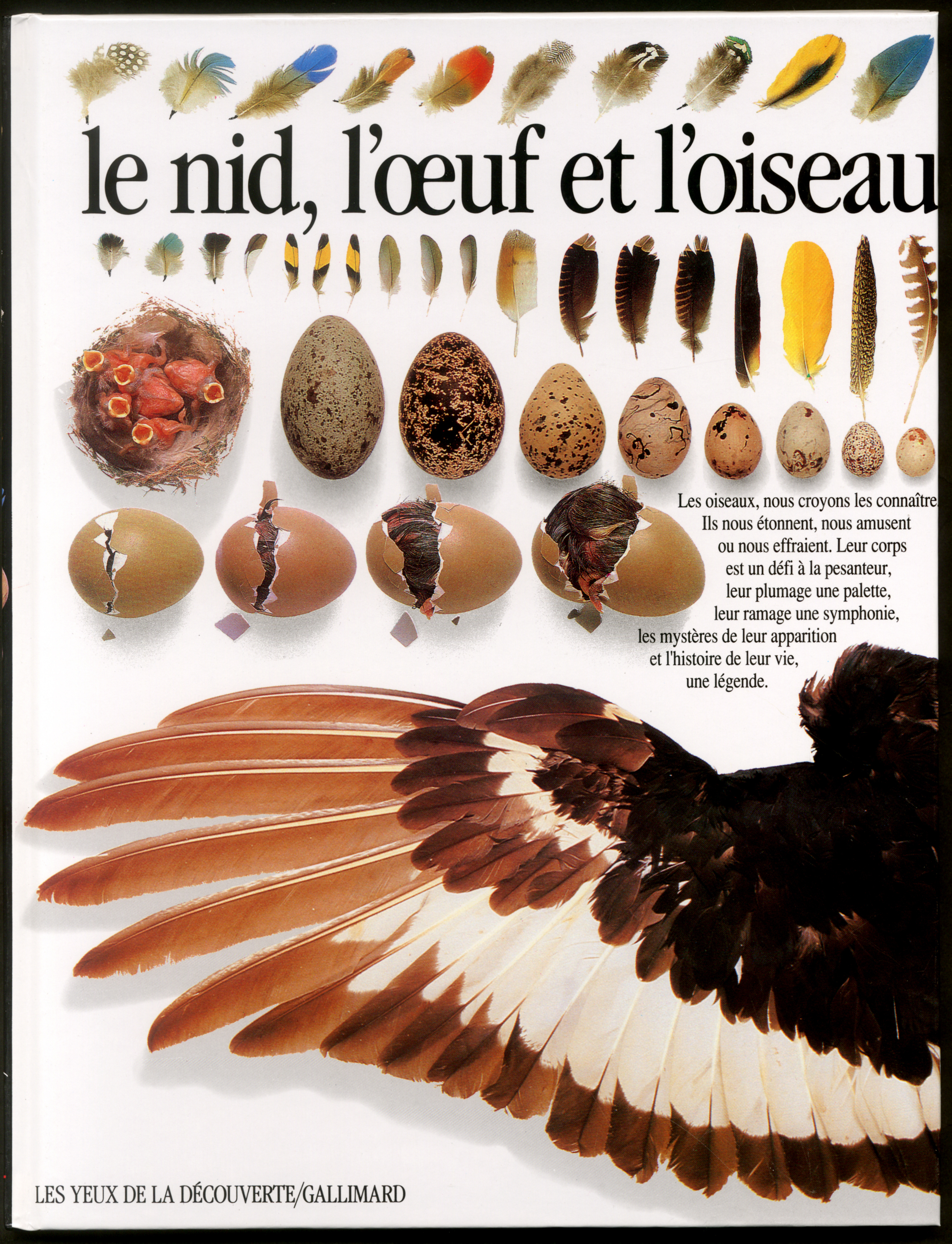 Le Nid, l'oeuf et l'oiseau