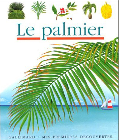Le palmier