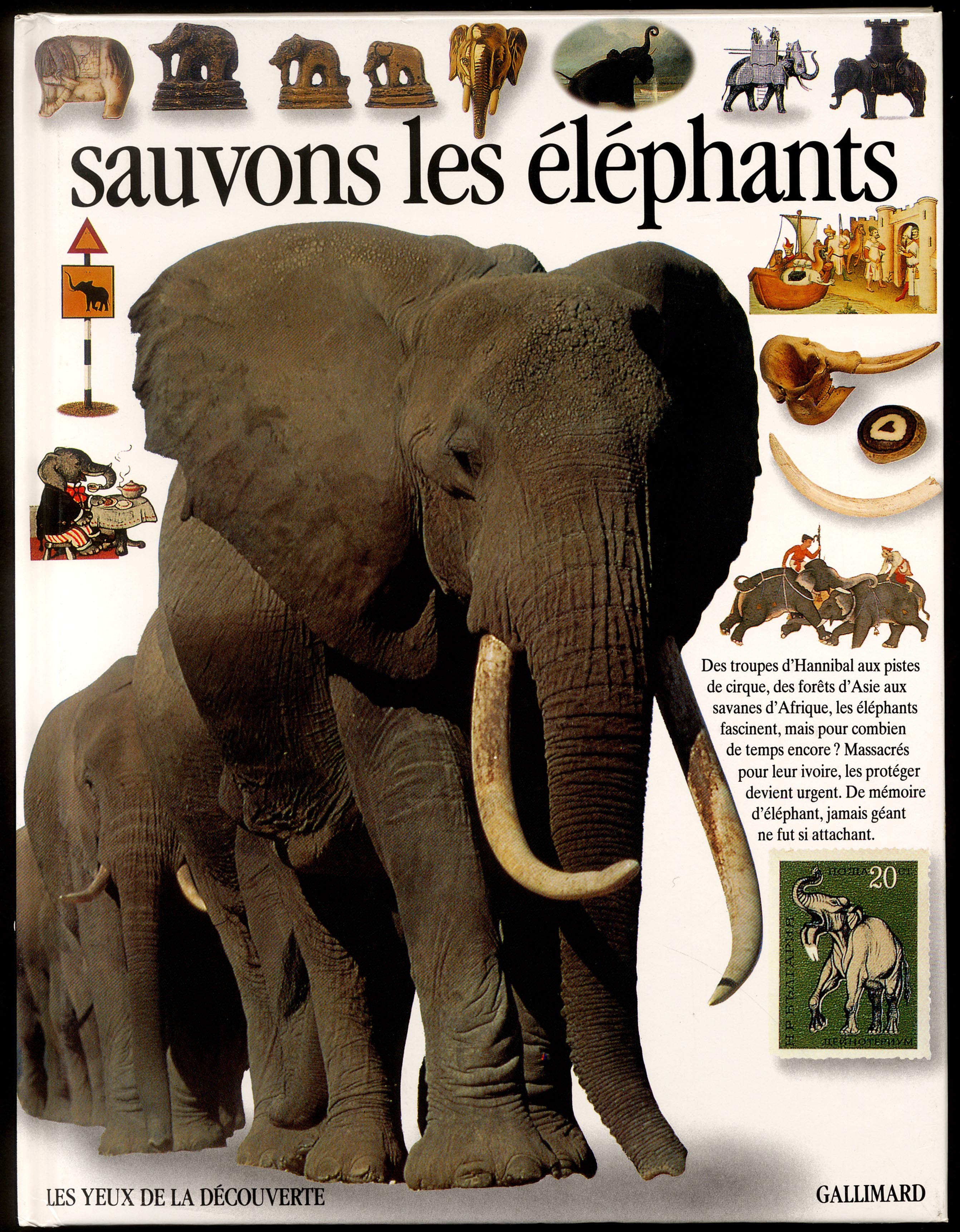SAUVONS LES ELEPHANTS