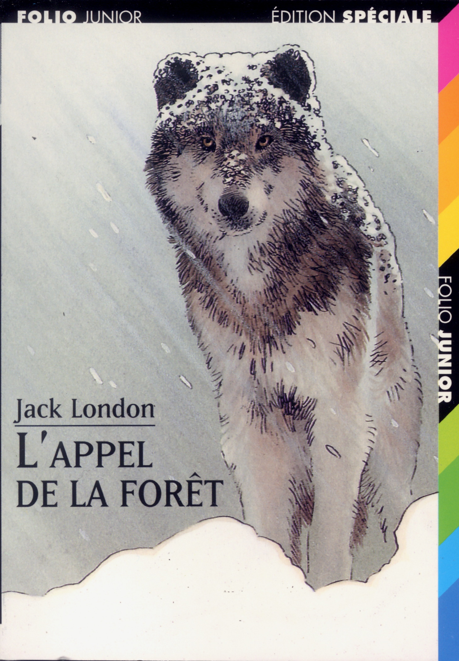 L'APPEL DE LA FORET