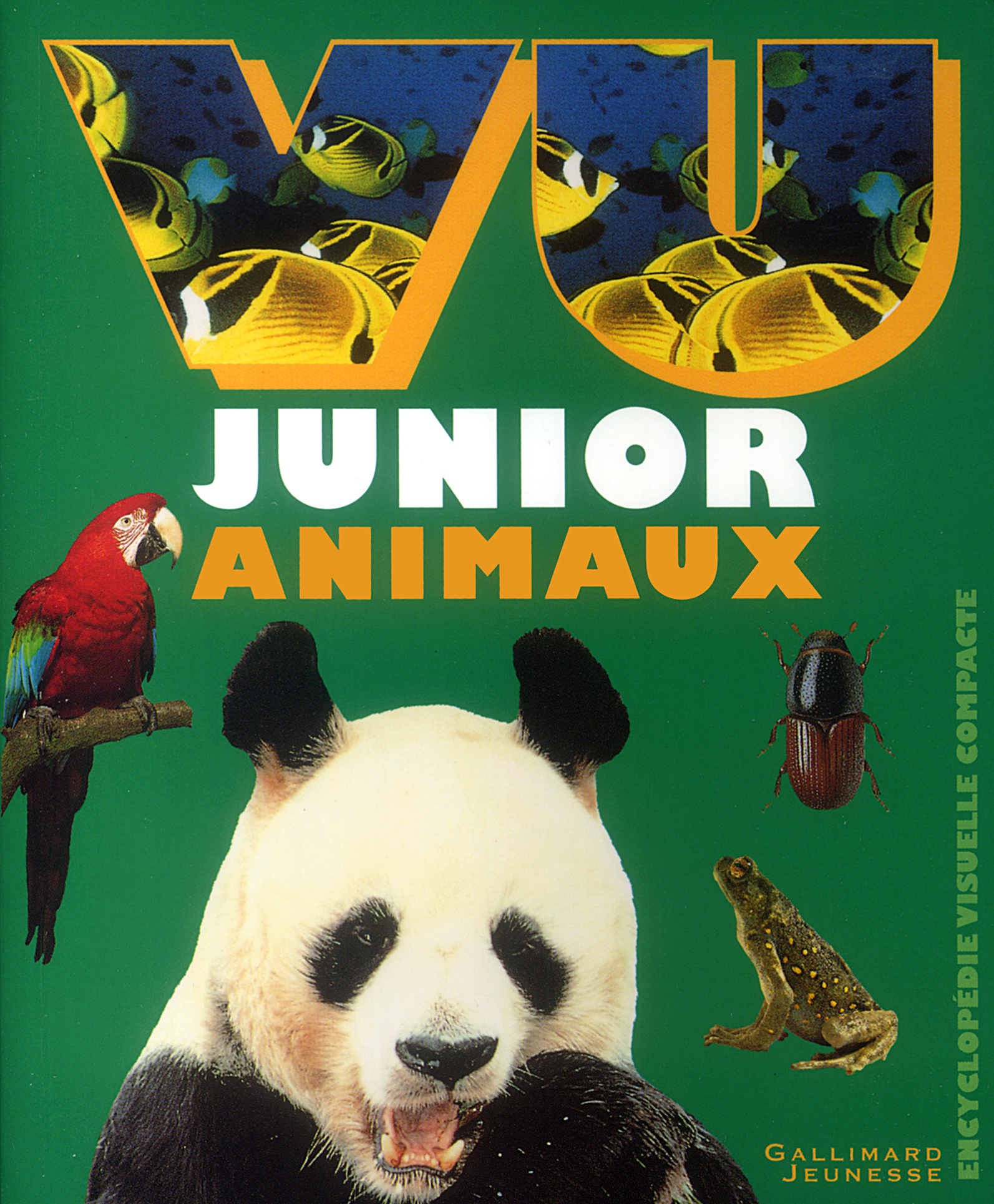 Vu junior animaux
