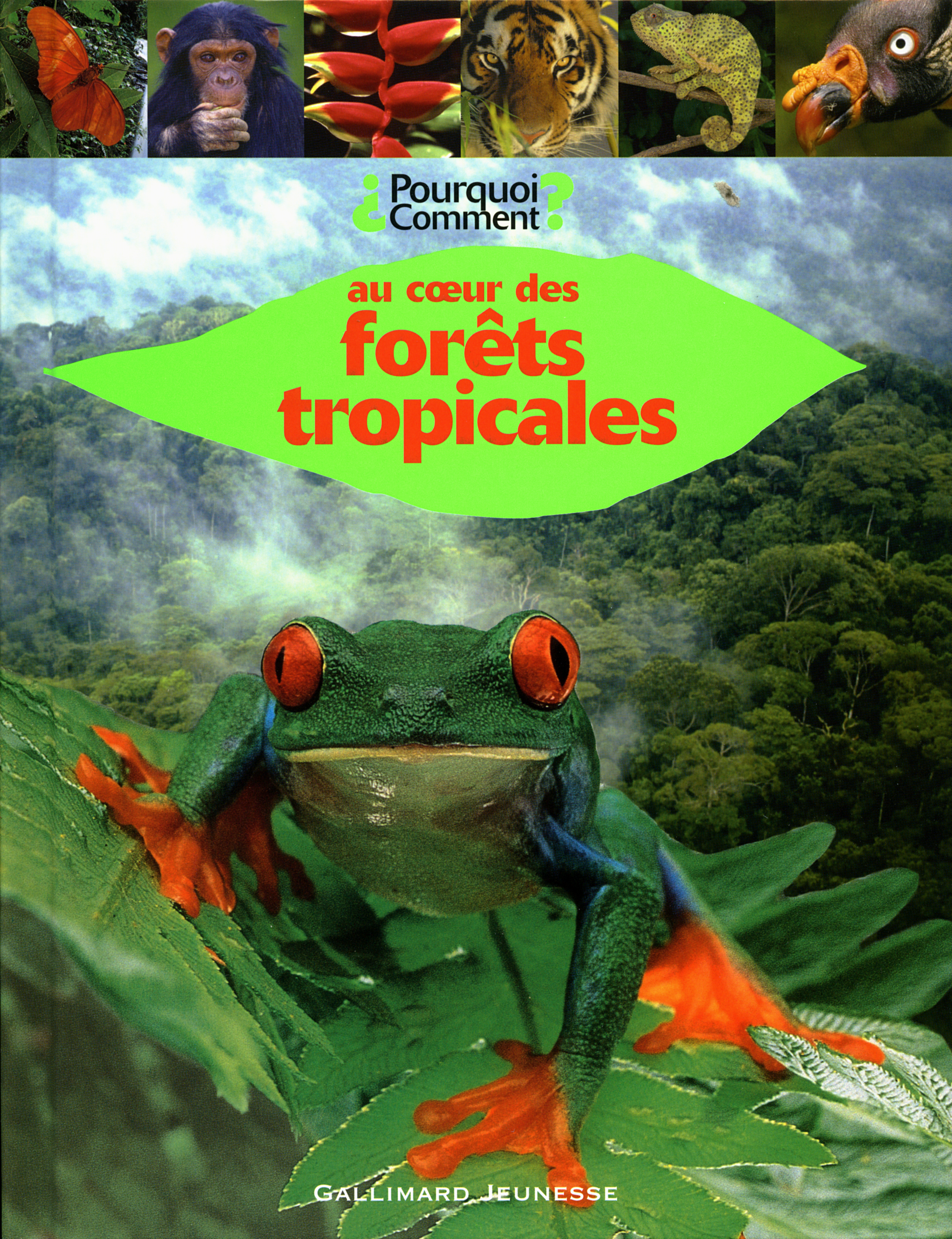 Au cœur des forêts tropicales