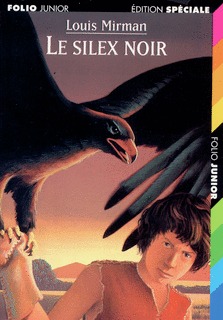 Le silex noir