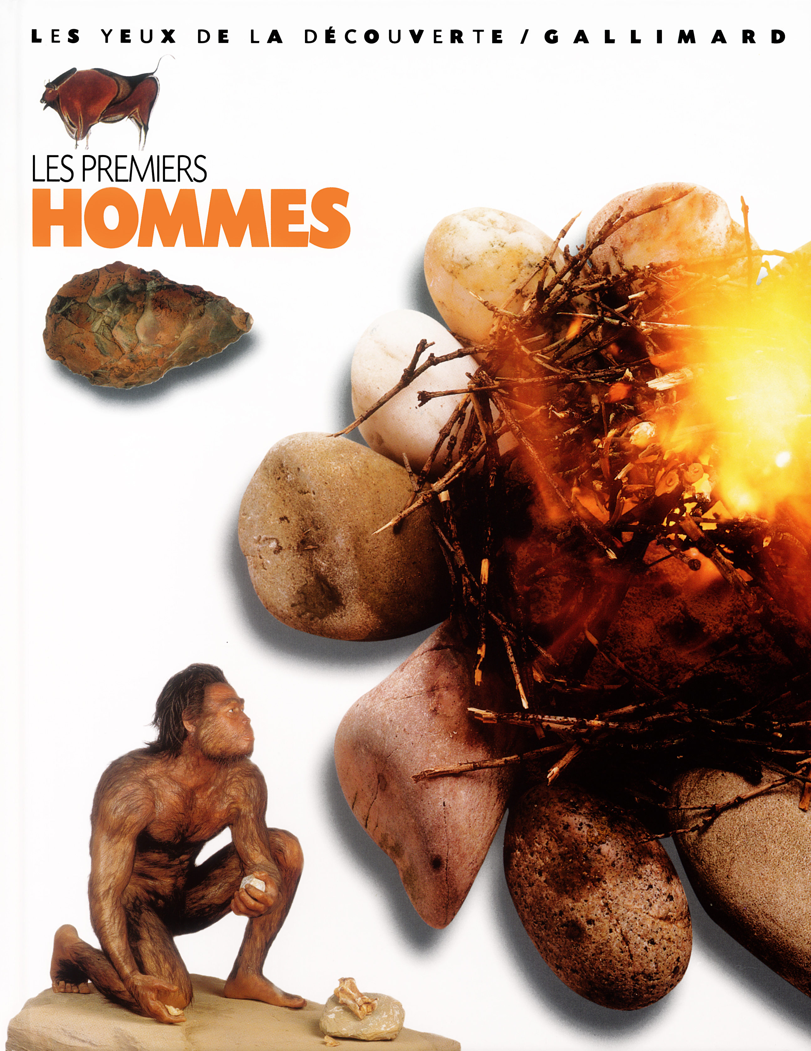 Les premiers hommes