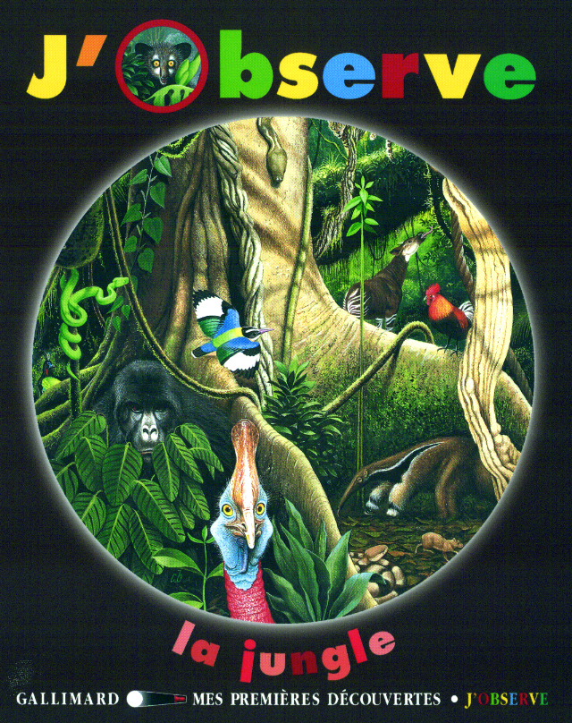 J'OBSERVE LA JUNGLE