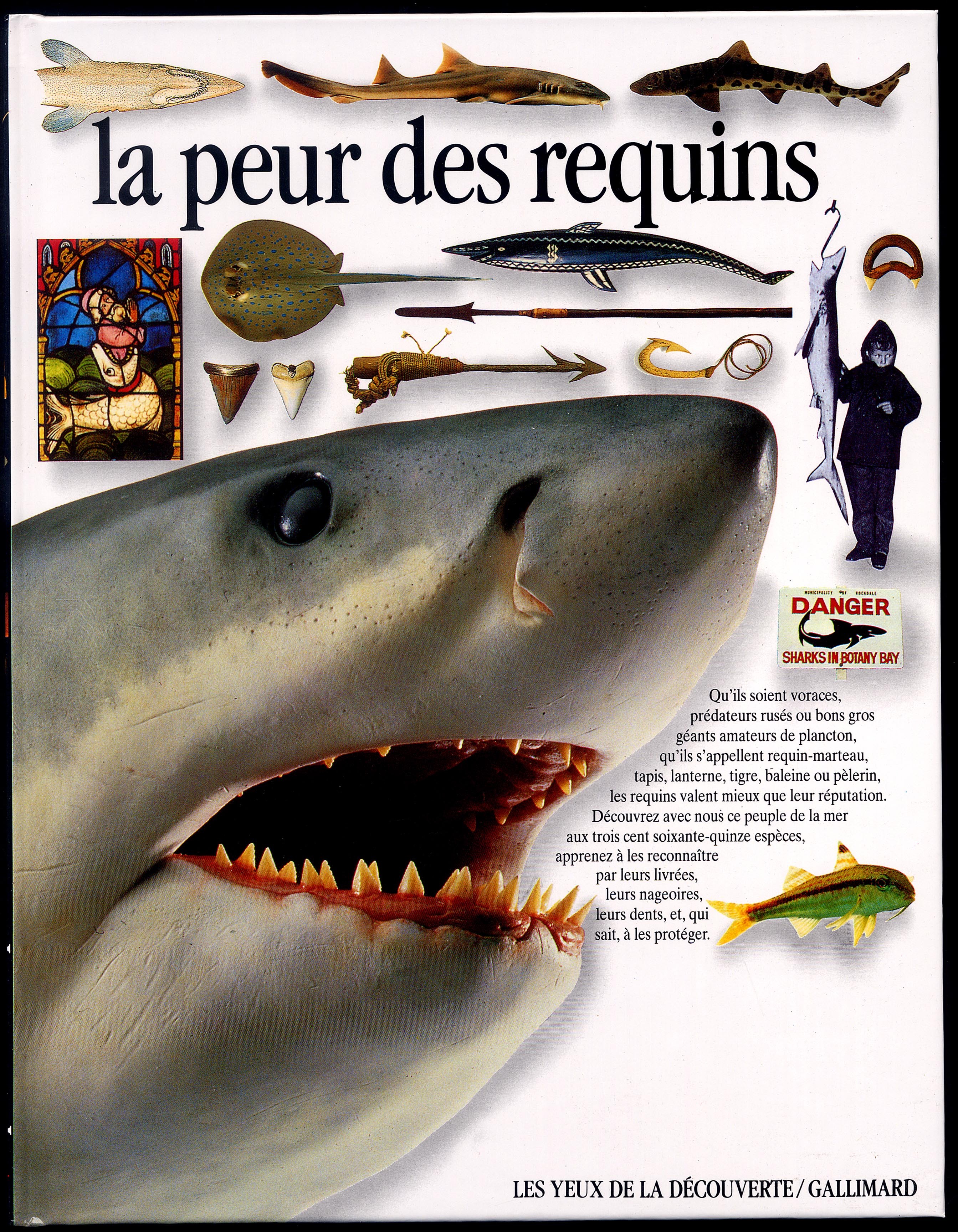 La peur des requins