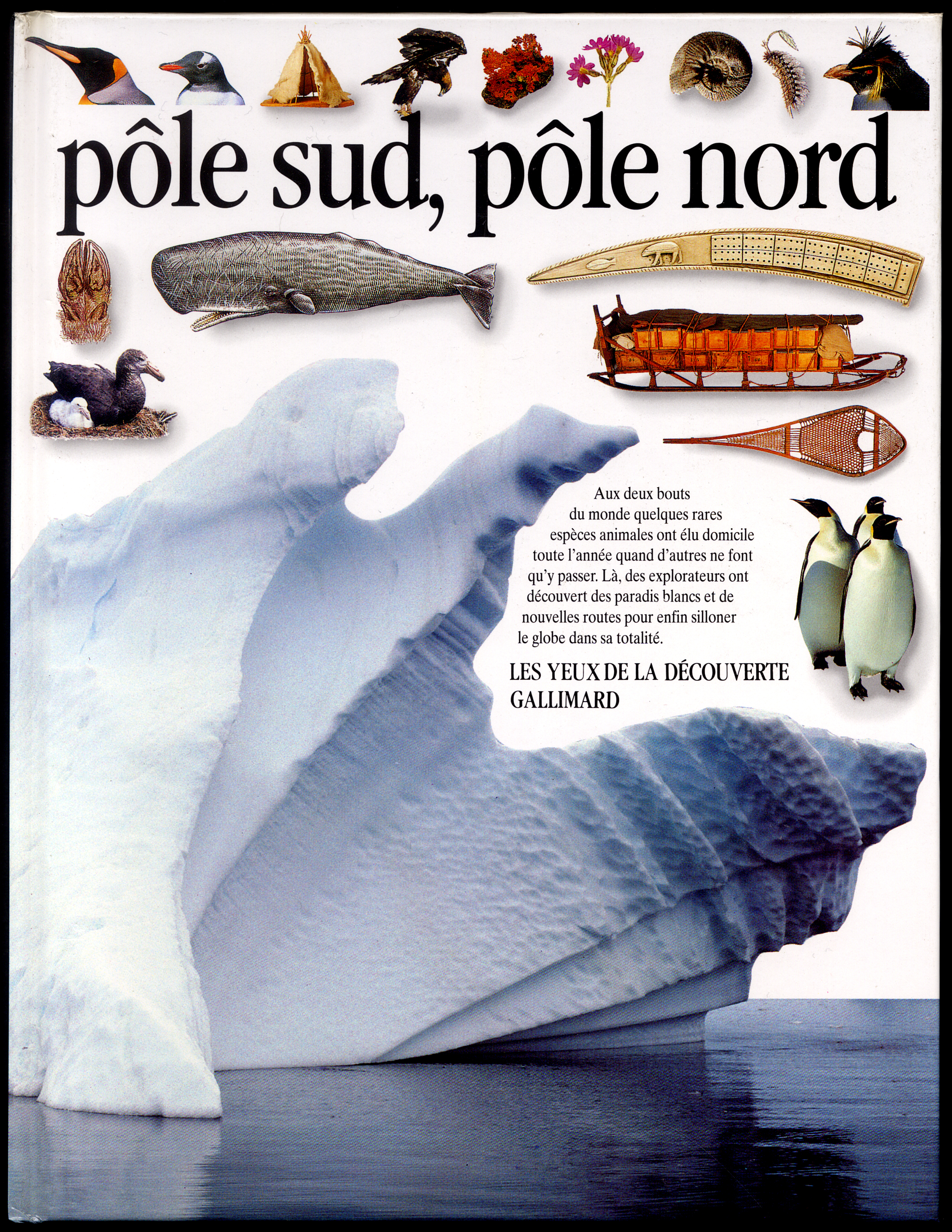 POLE SUD, POLE NORD