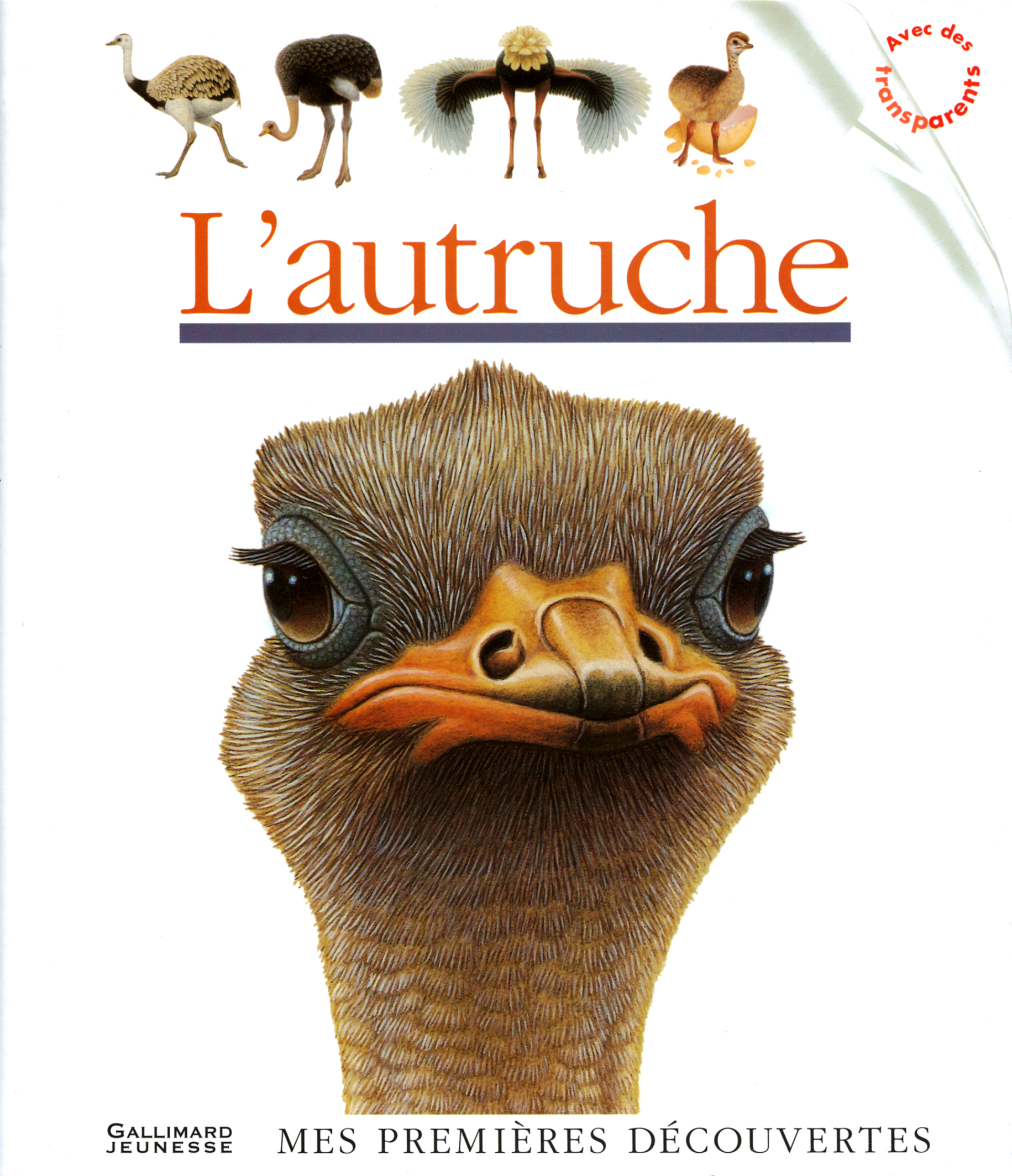 L'autruche