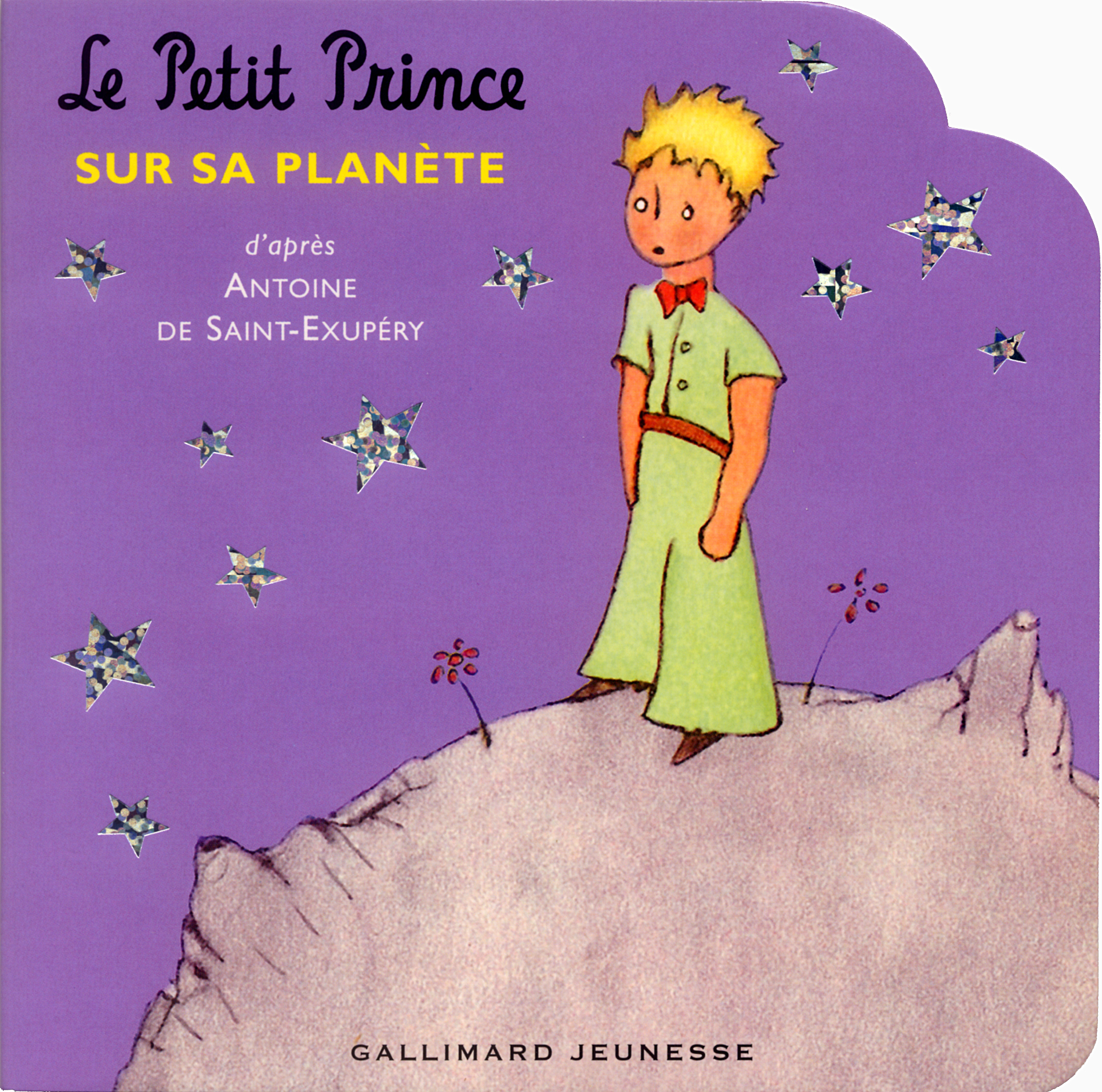 LE PETIT PRINCE SUR SA PLANETE