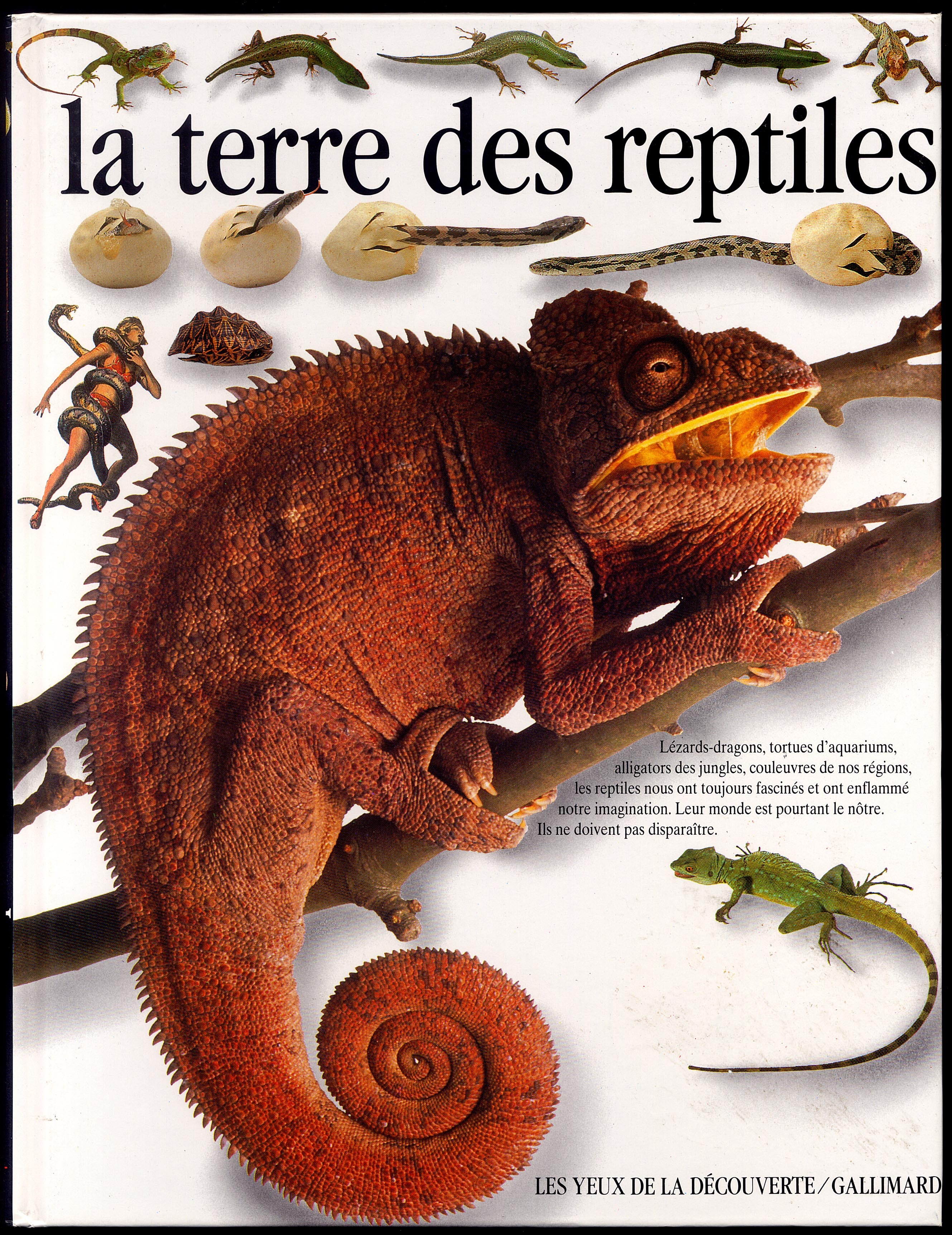 LA TERRE DES REPTILES