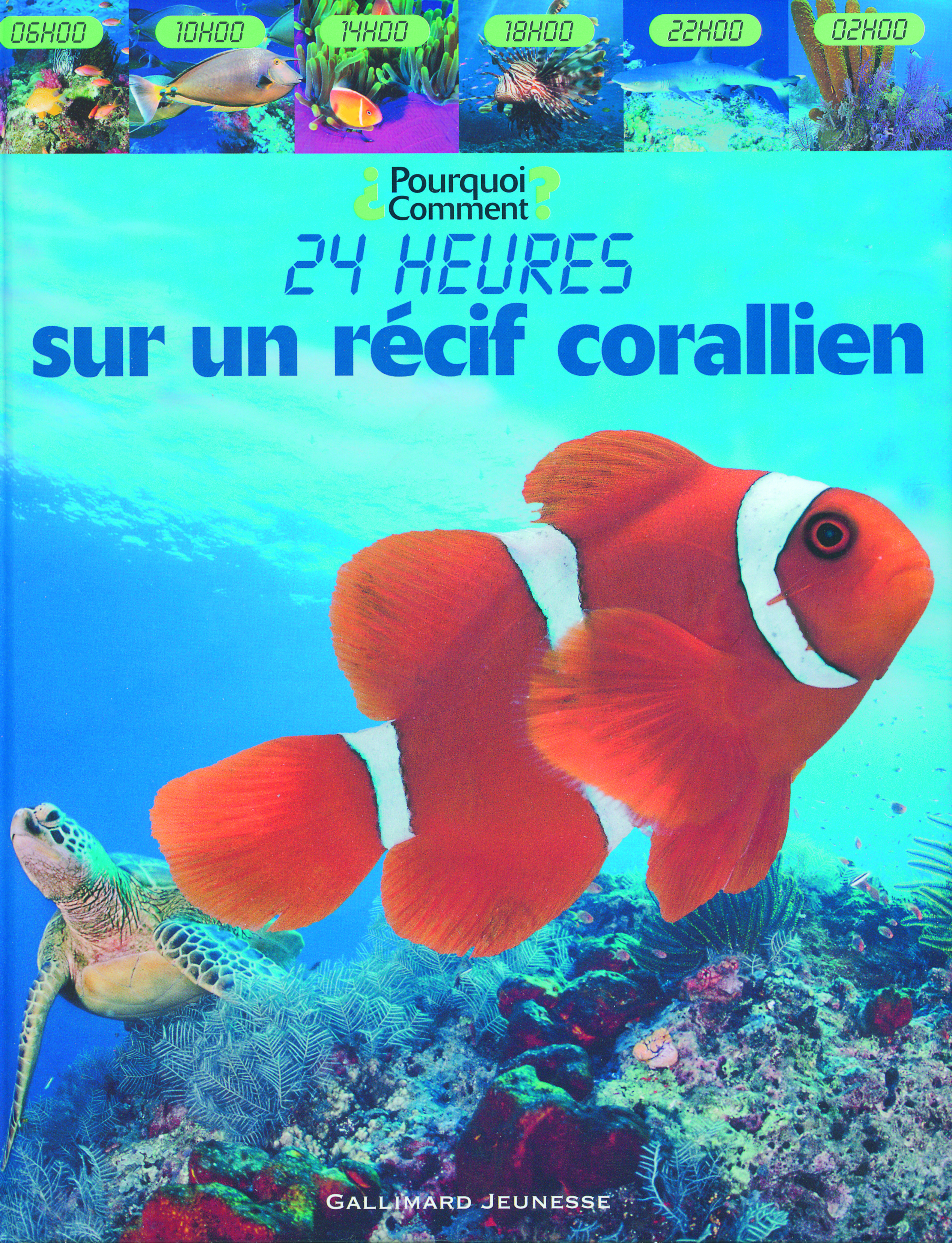 Sur un récif corallien