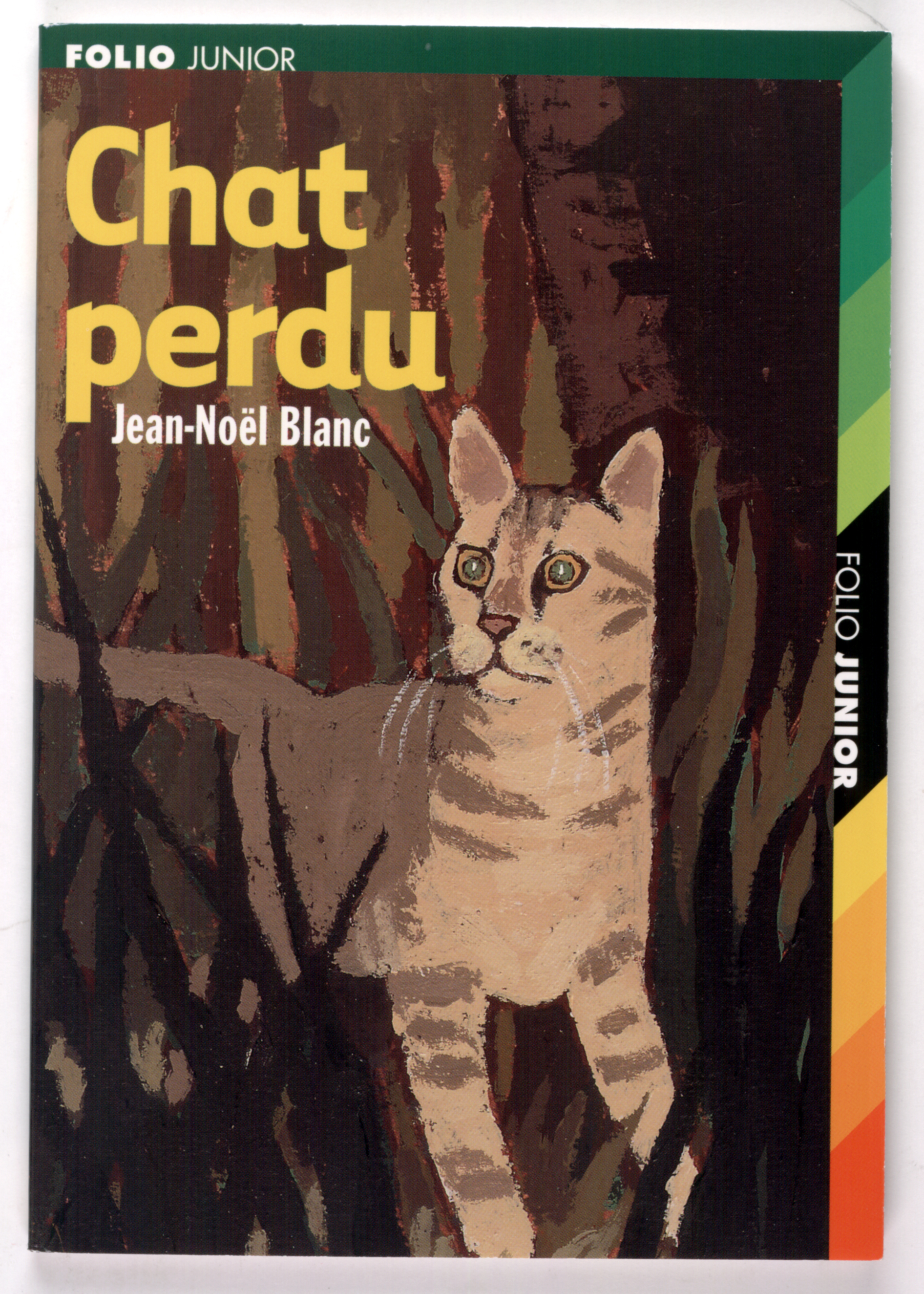 CHAT PERDU