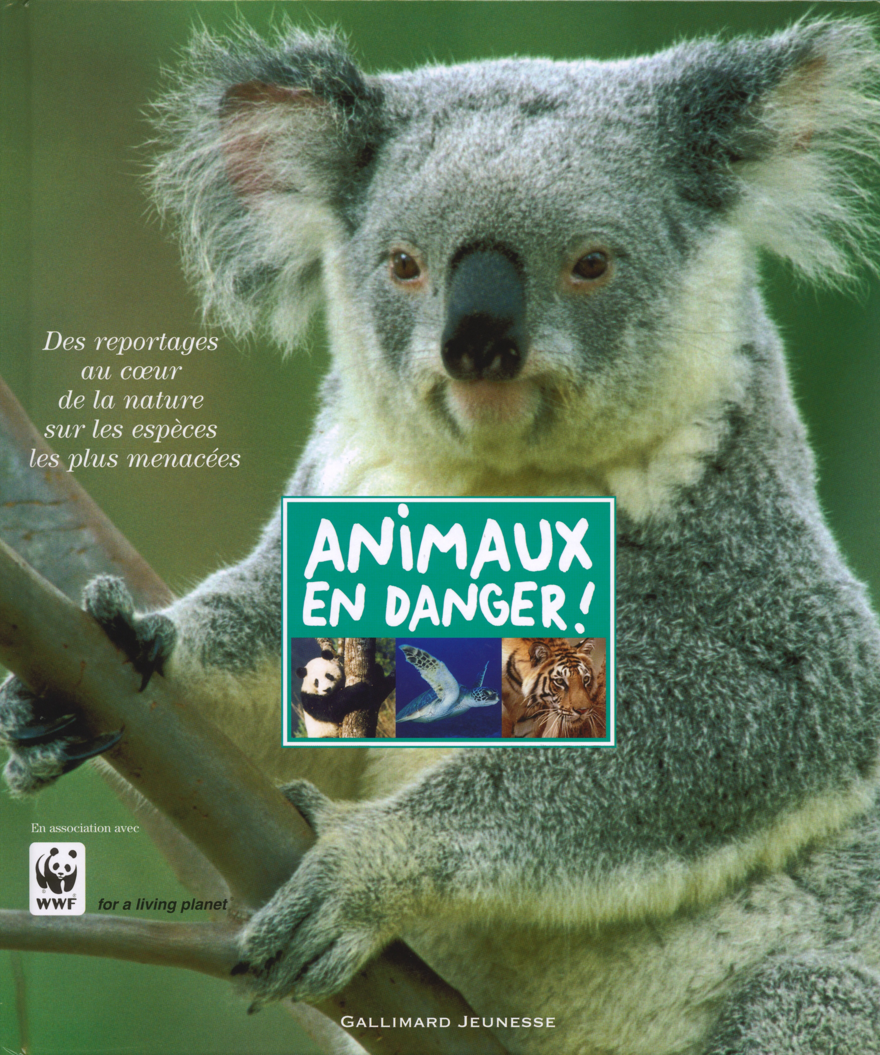 ANIMAUX EN DANGER