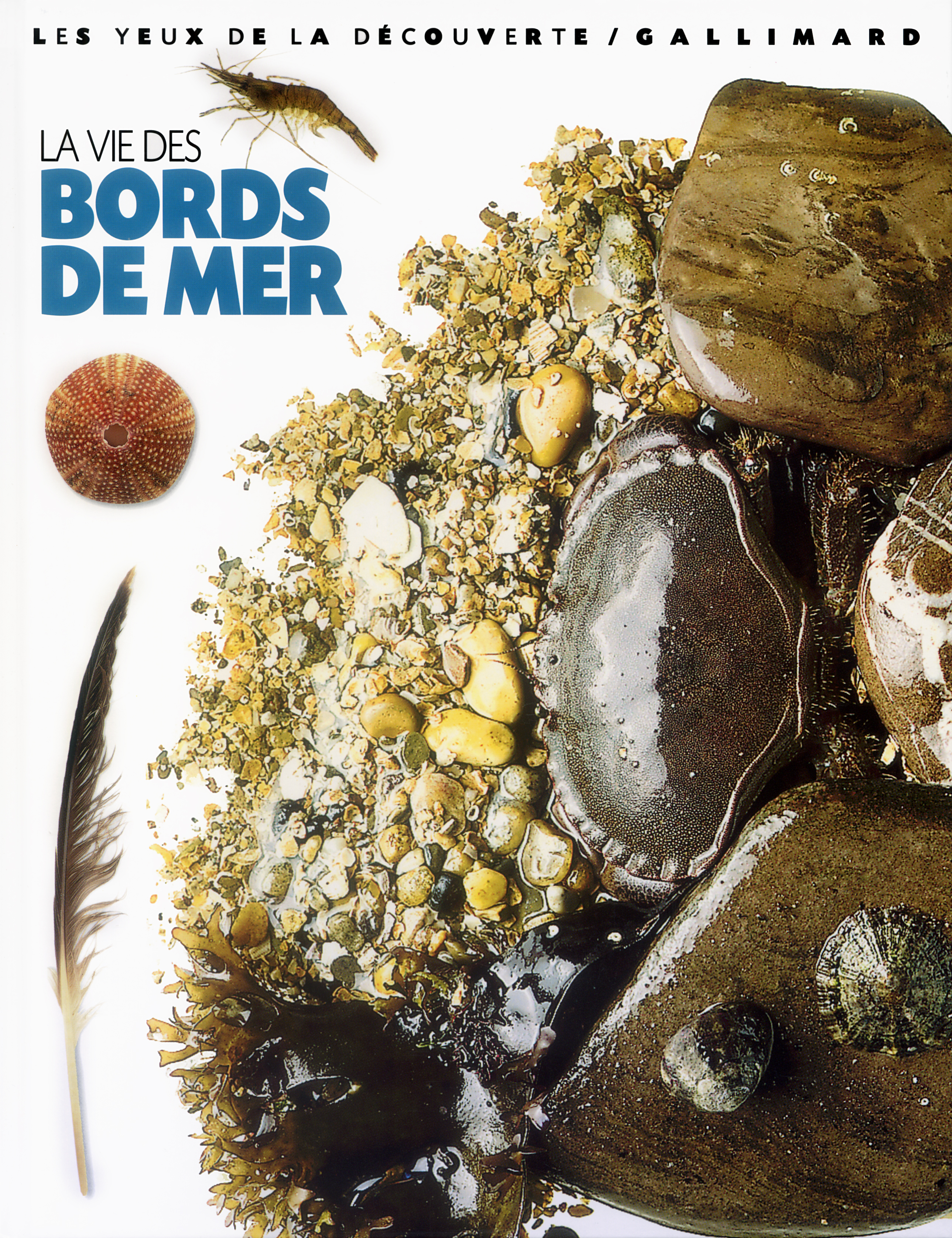 LA VIE DES BORDS DE MER