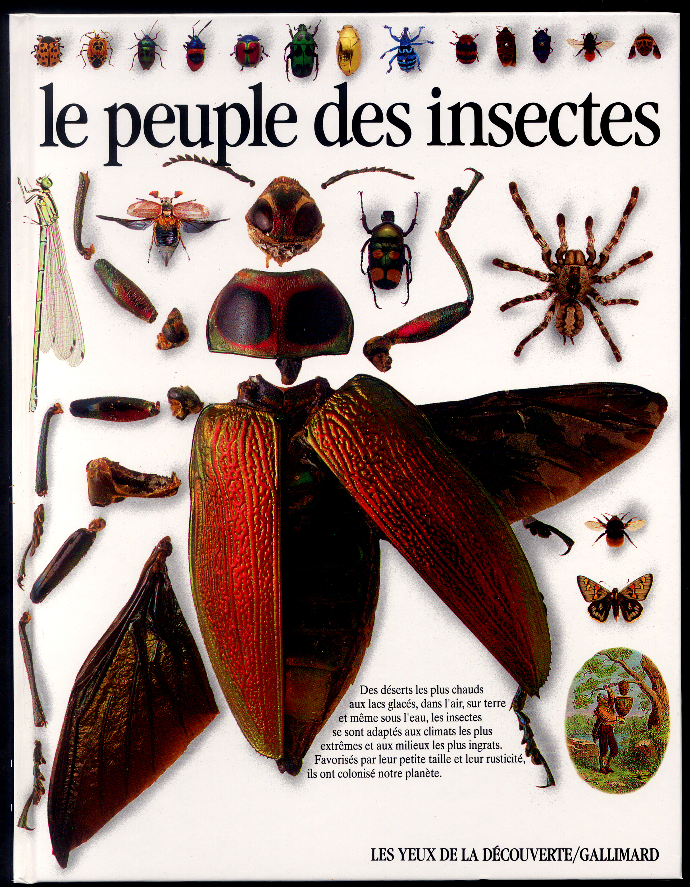 LE PEUPLE DES INSECTES