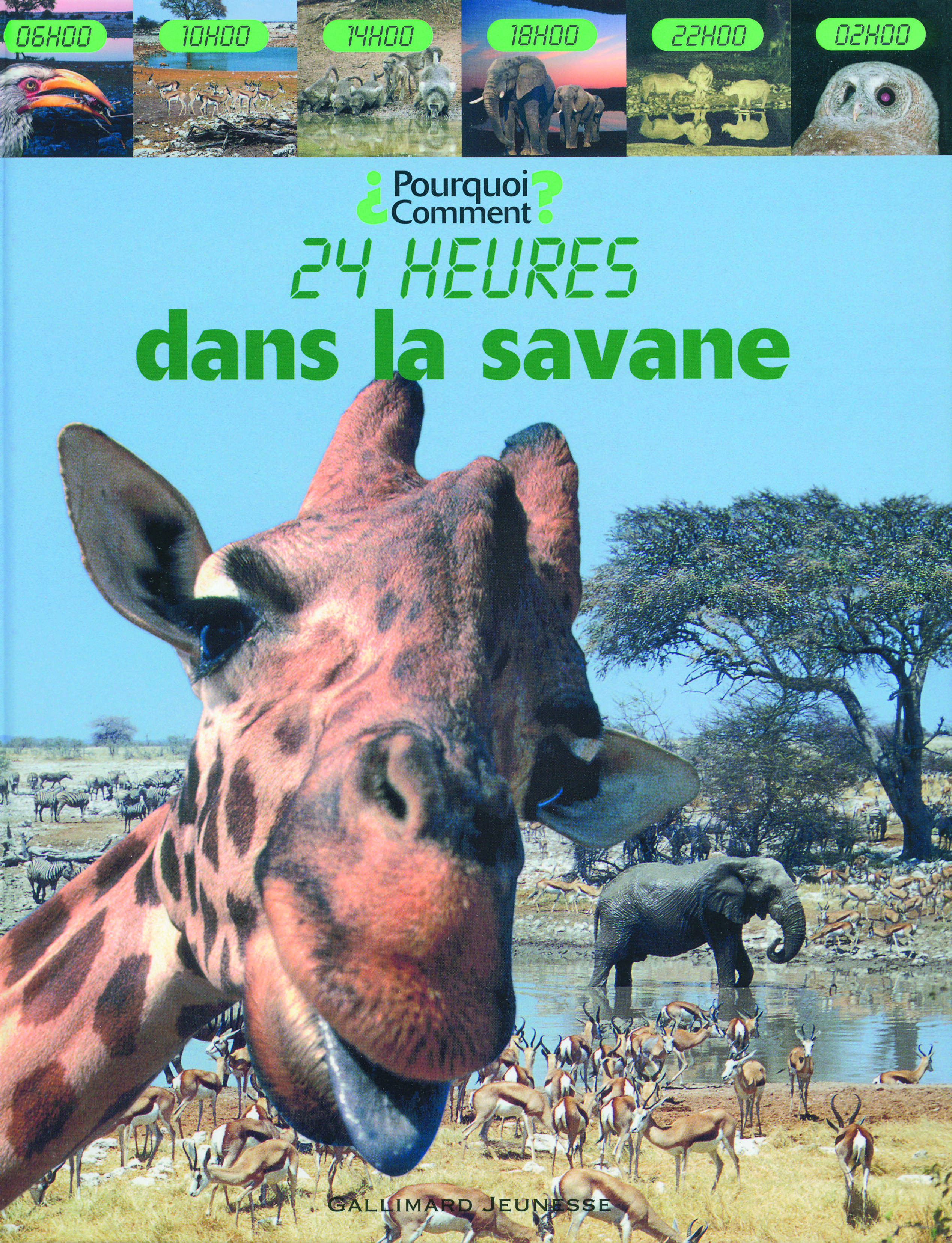 Dans la savane
