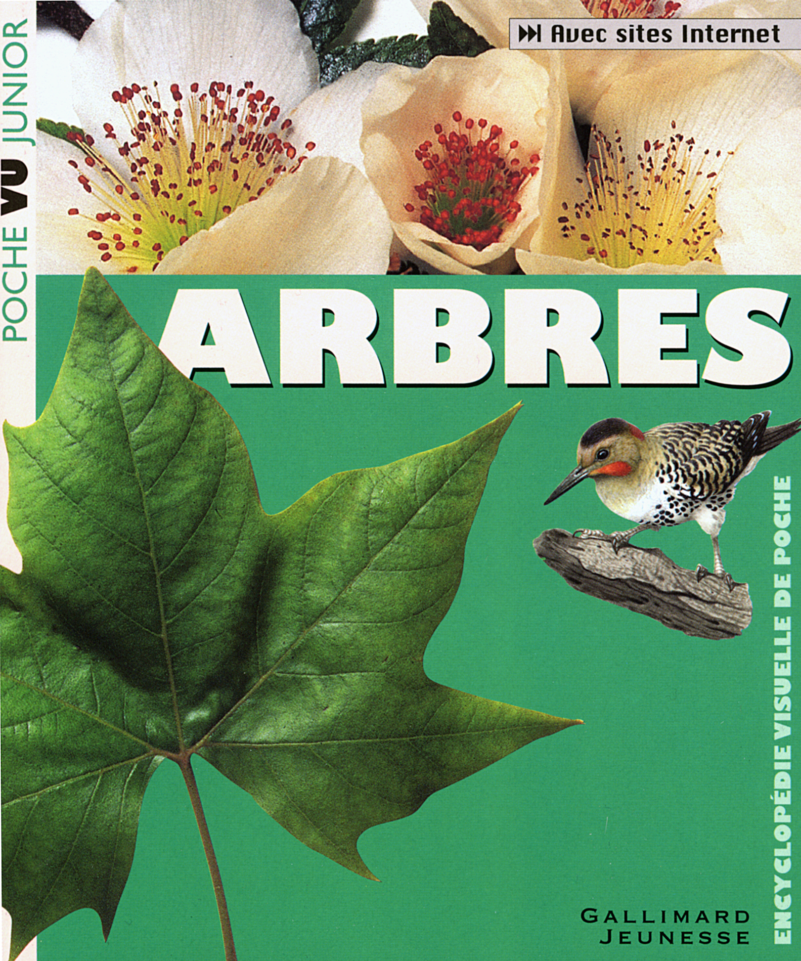 ARBRES