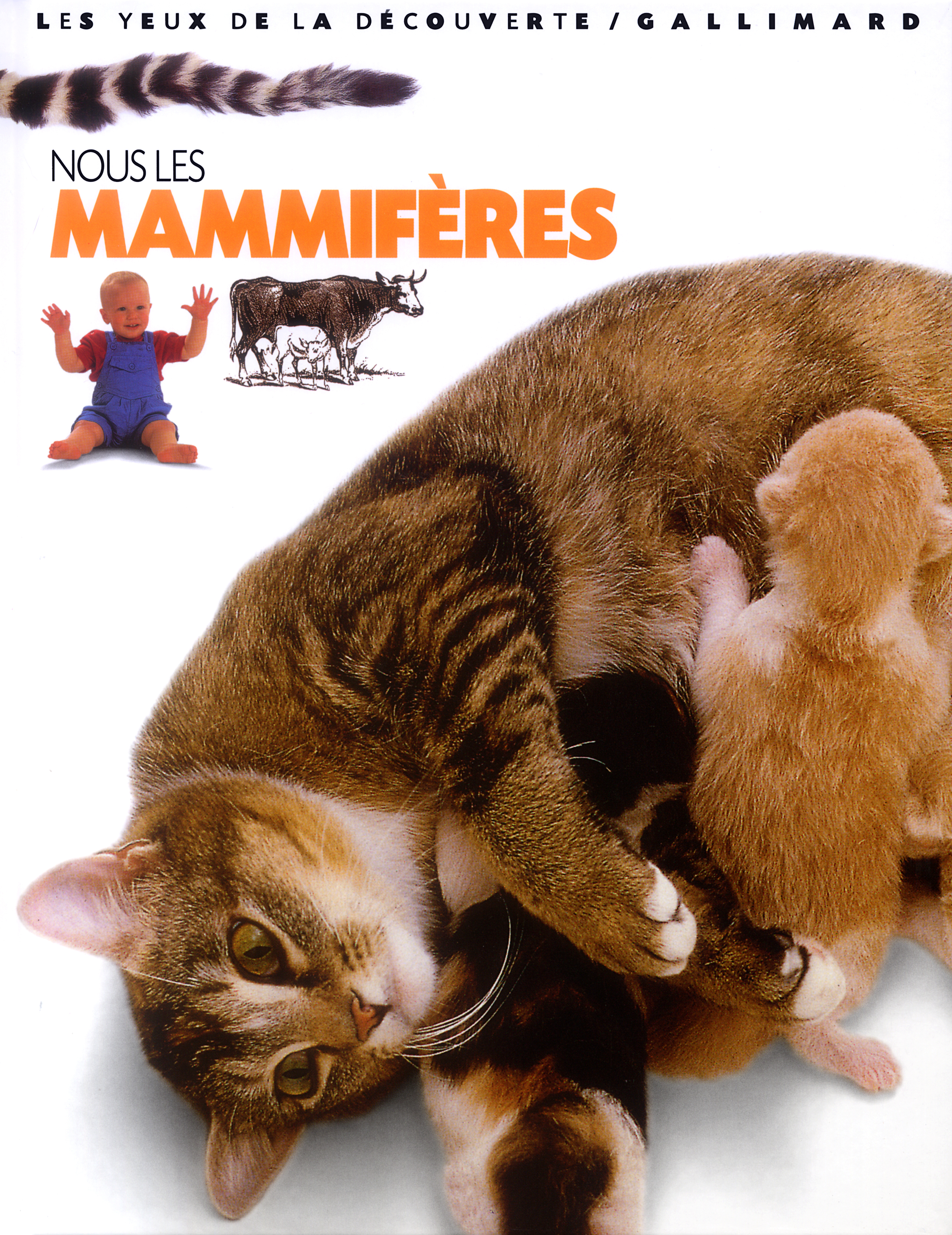 NOUS, LES MAMMIFERES