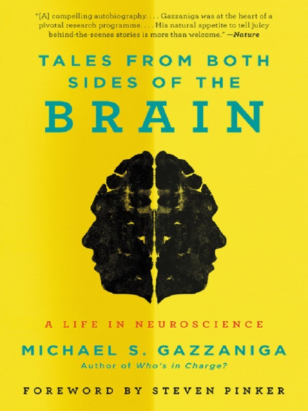 Tales from Both Sides of the Brain