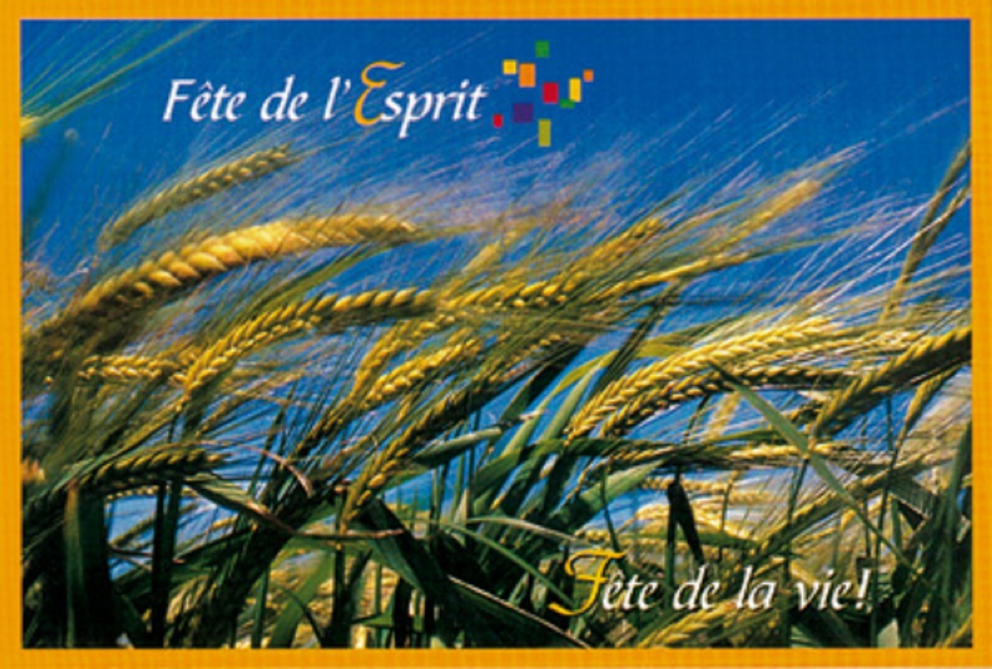 PACK CARTES PAQUES PENTECOTE CJ29 10EX