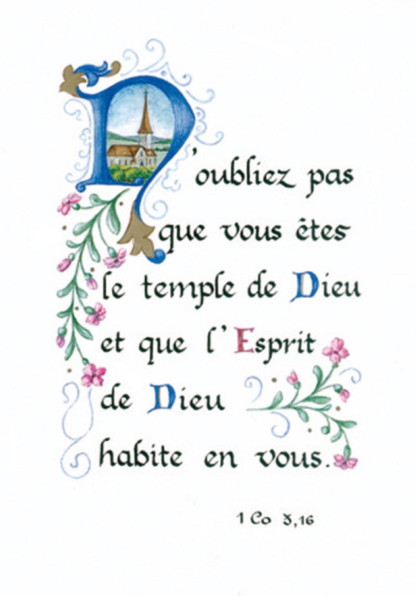 PACK ENLUMINURE AN155 10EX