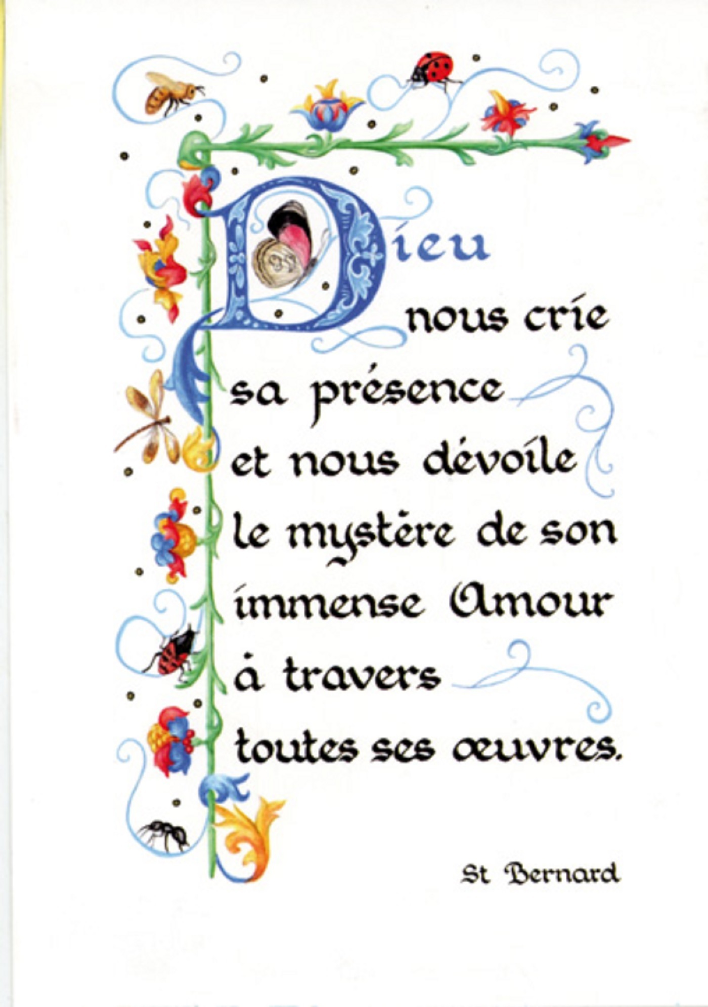 PACK ENLUMINURE AN330 10EX