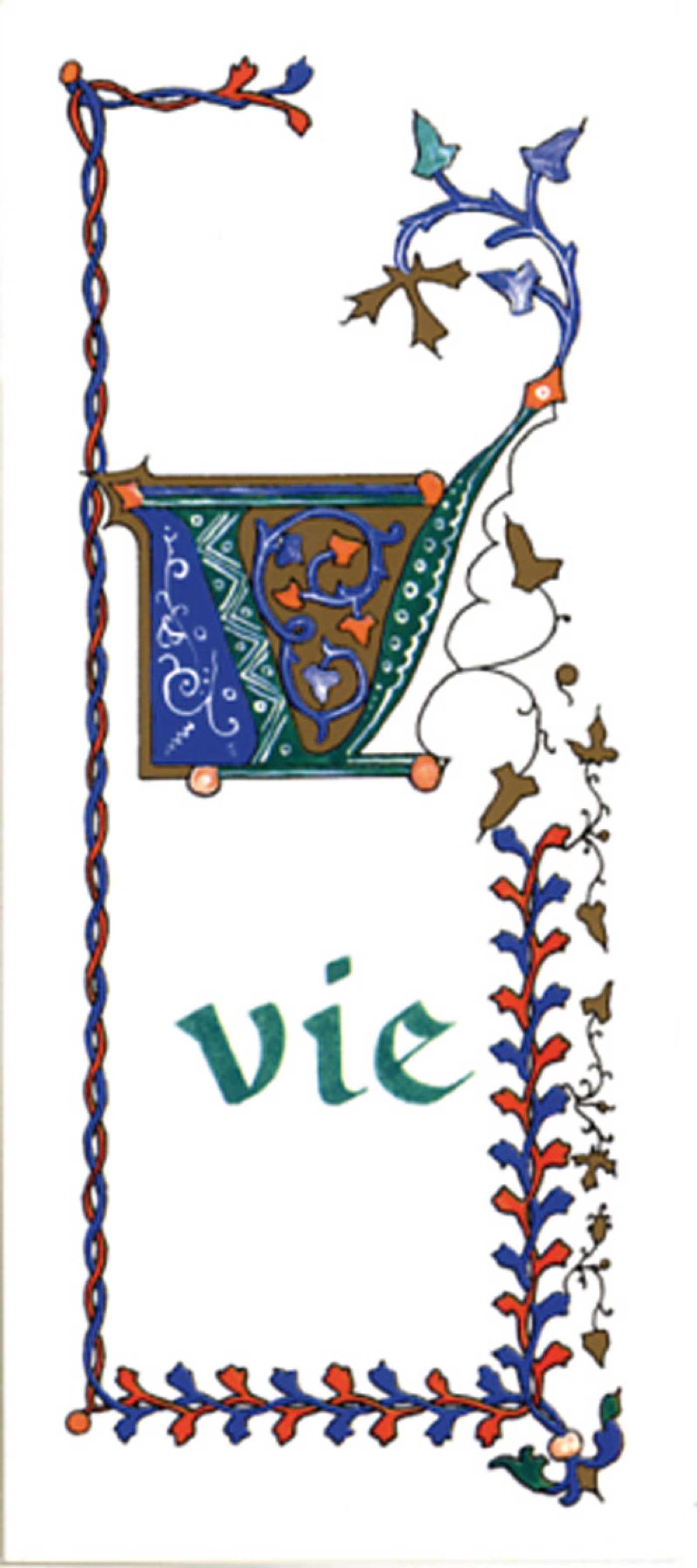 PACK TEMPS FORTS SI03 10EX