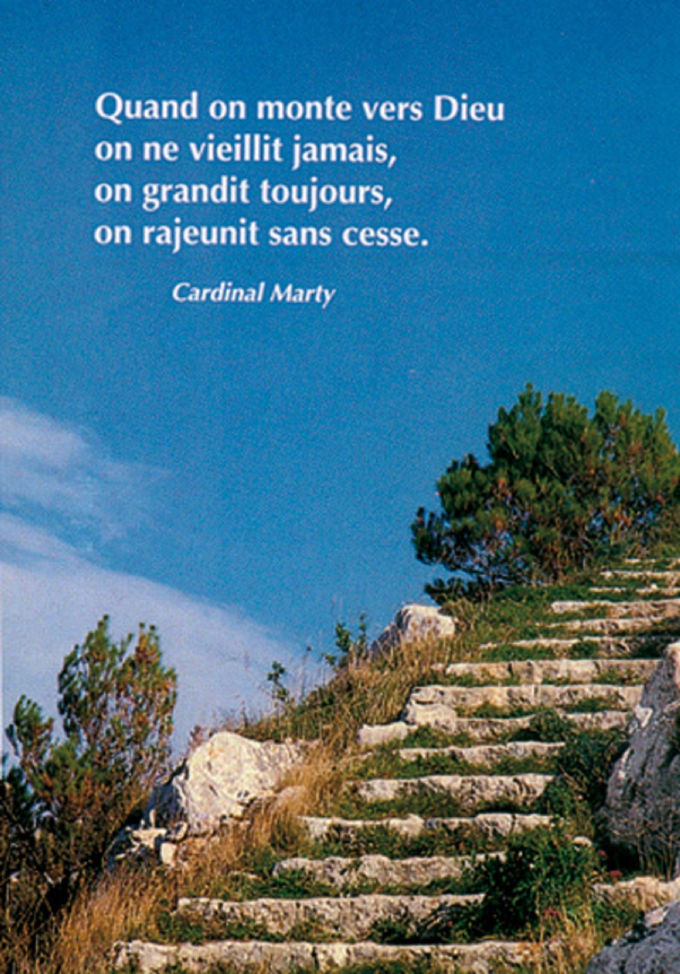 PACK SAISONS CP195 10EX