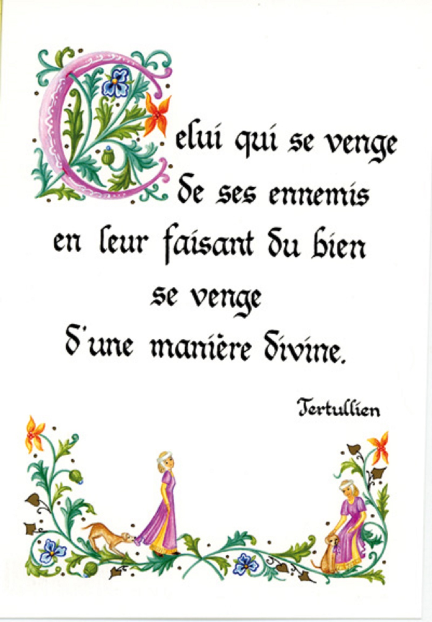 PACK ENLUMINURE AN275 10EX