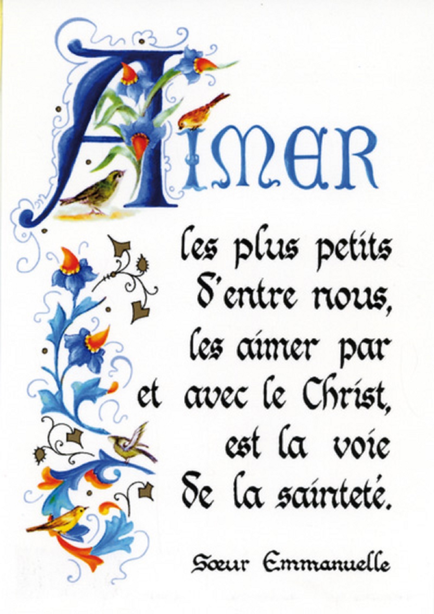 PACK ENLUMINURE AN313 10EX