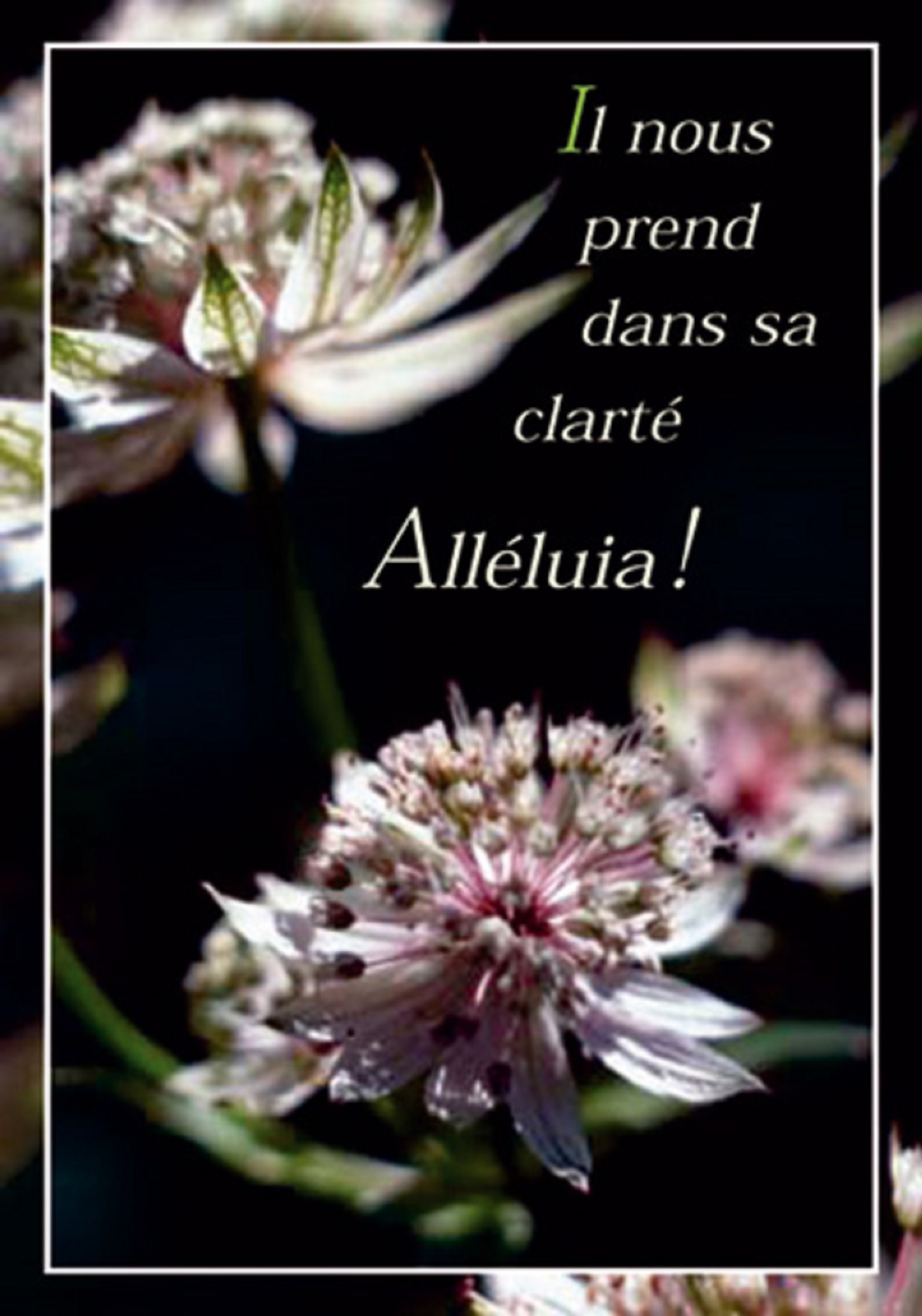 PACK CARTES PAQUES PENTECOTE CJ46 10EX