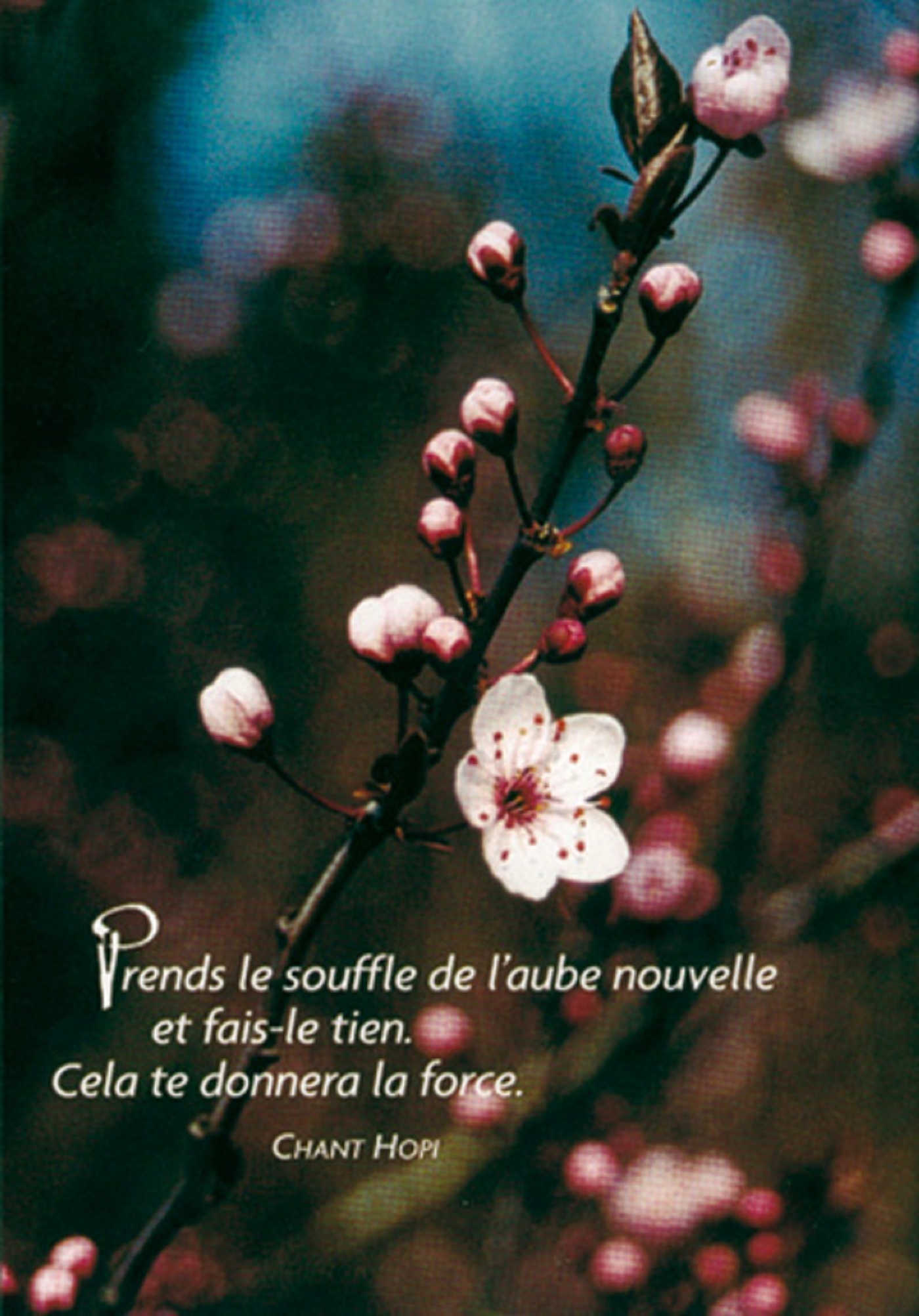 PACK SAISONS CP483 10EX