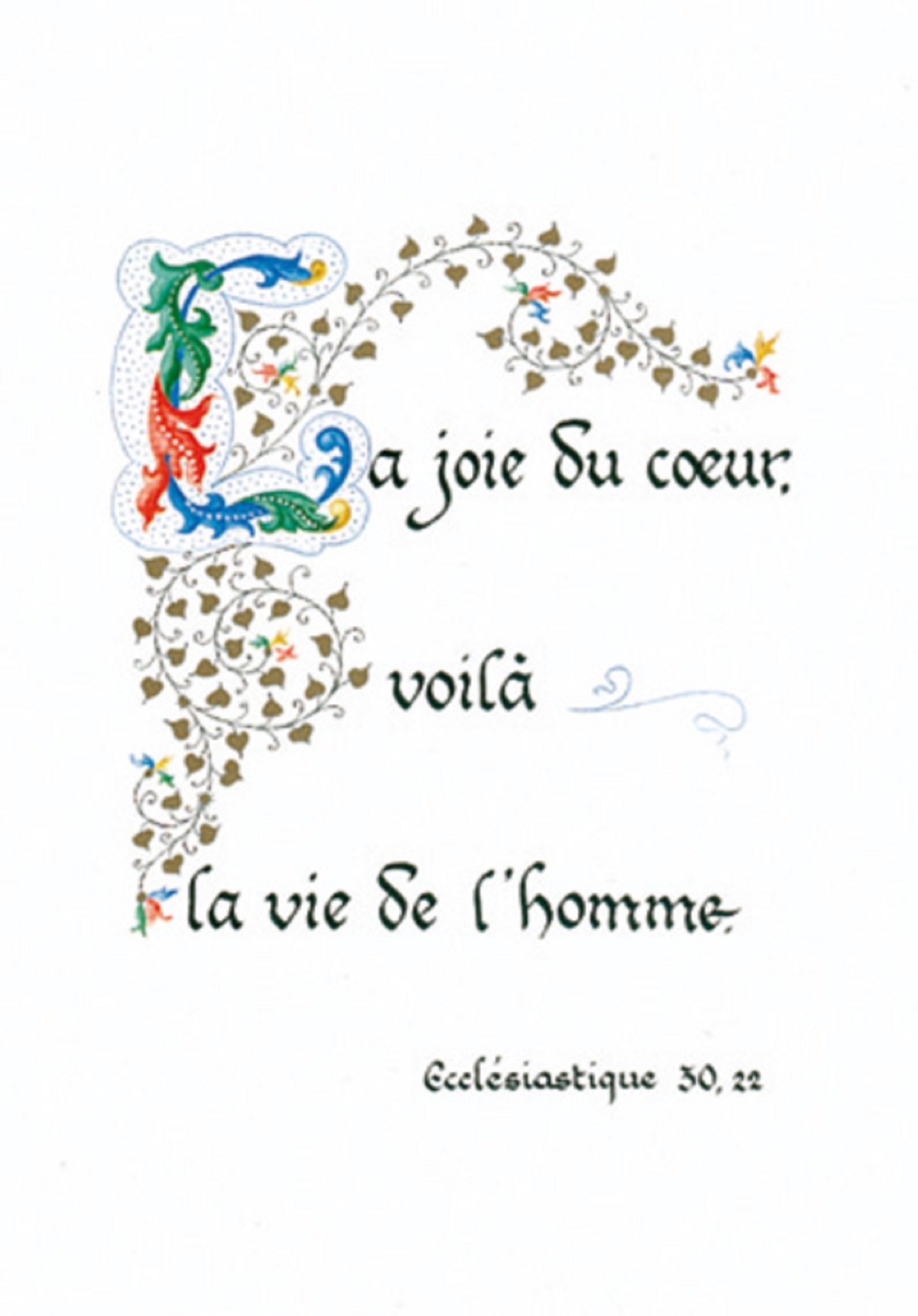 PACK ENLUMINURE AN249 10EX