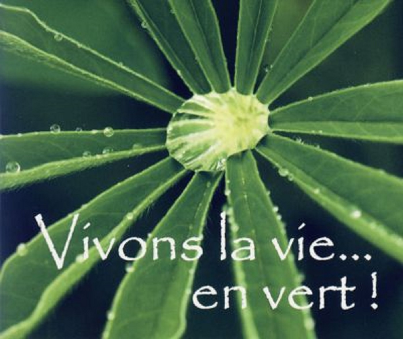 PACK VIVONS LA VIE EN VERT 5EX MP118