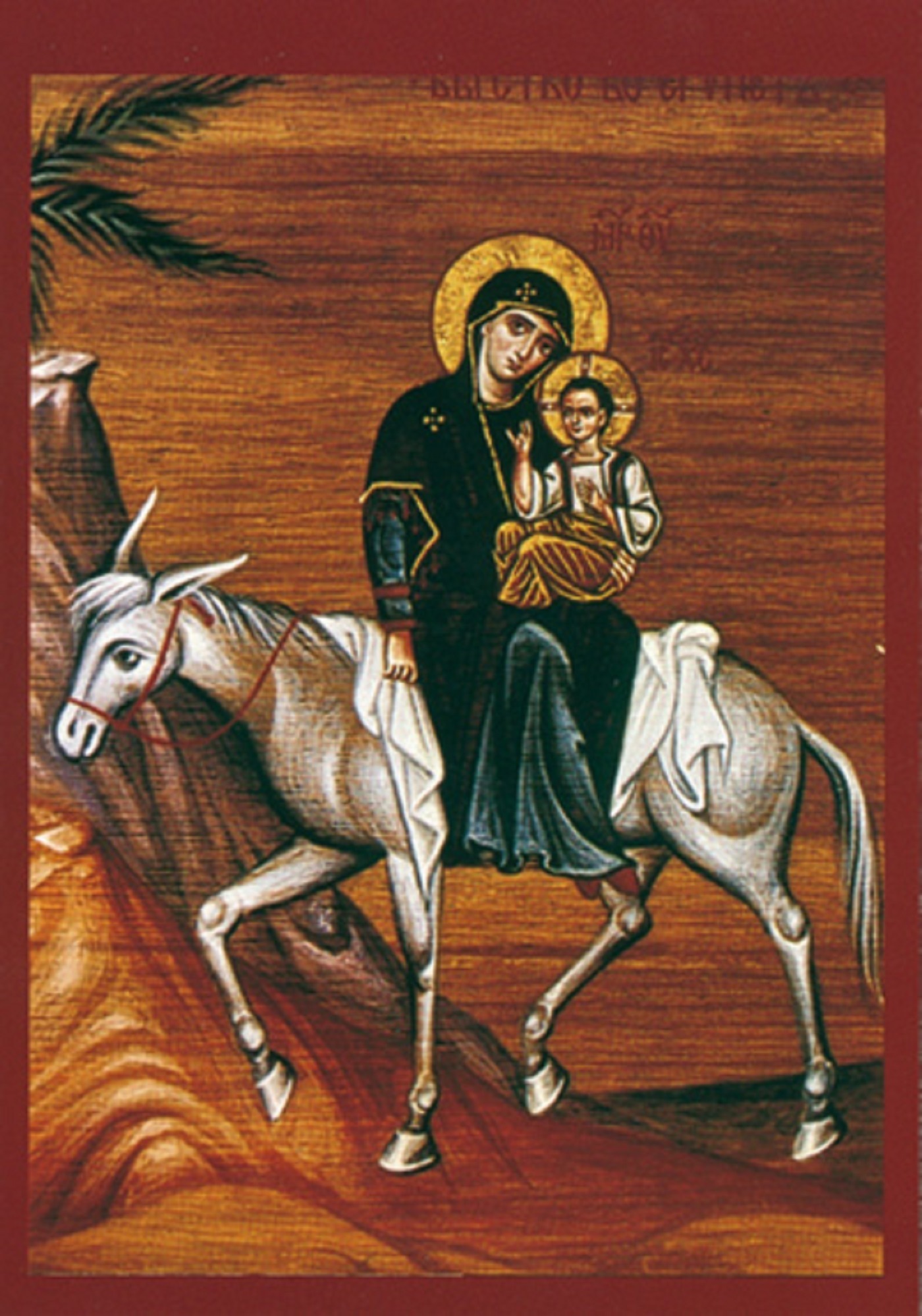 PACK FUITE EN EGYPTE A281 10EX