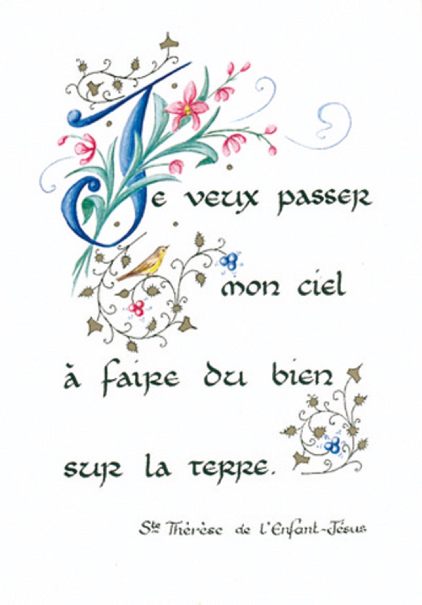 PACK ENLUMINURE AN134 10EX