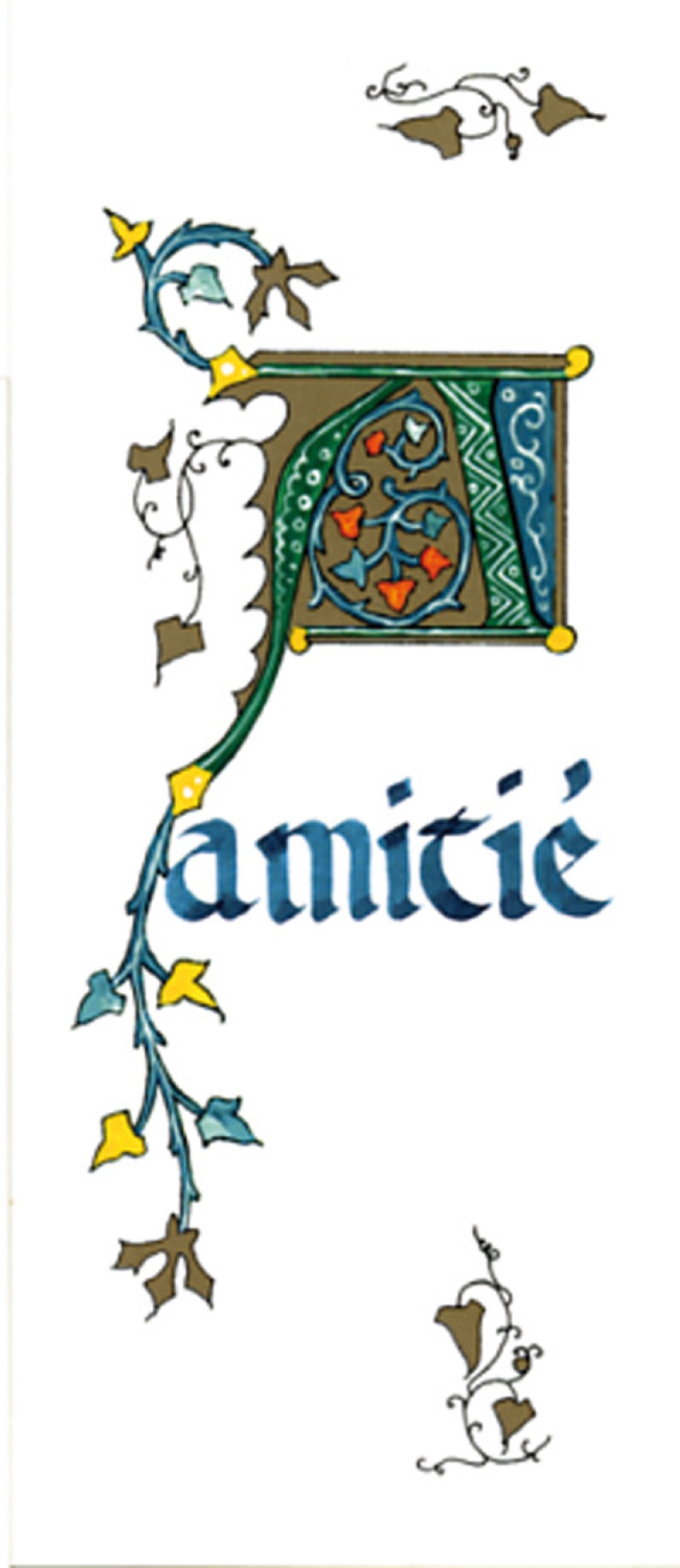 PACK TEMPS FORTS SI05 10EX