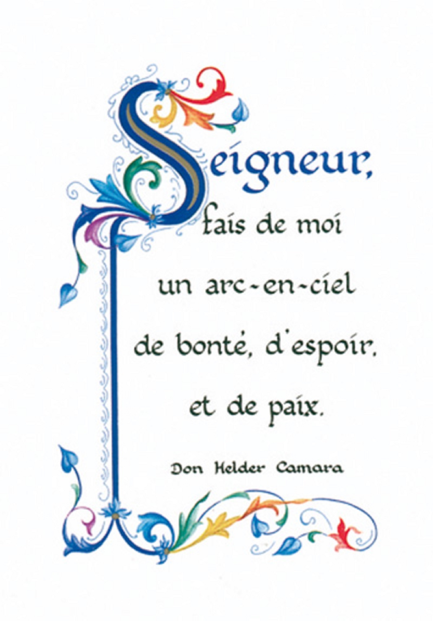 PACK ENLUMINURE AN229 10EX